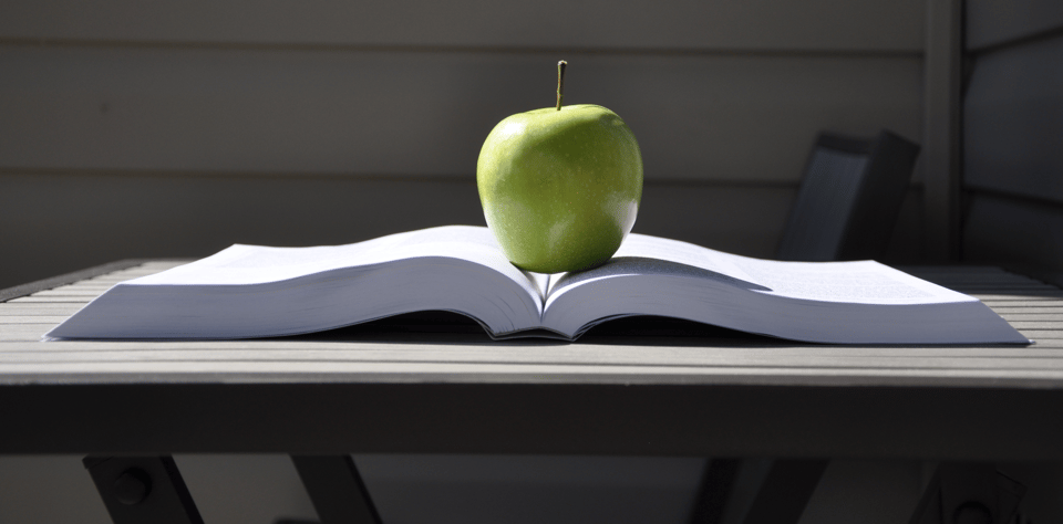 Health Literacy: Key to Protecting the Patient and the Employer in Self-Insurance